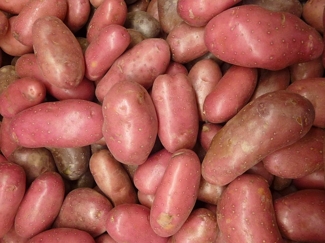 PATATA BARES ROJA 25 KG