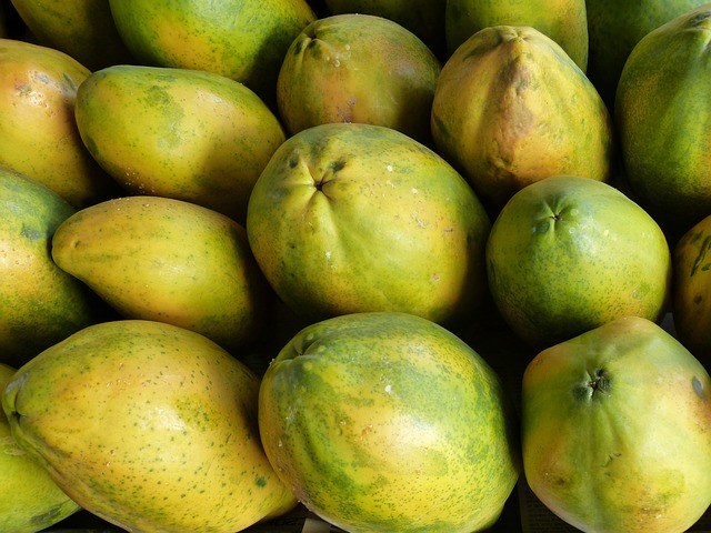 PAPAYA, KG