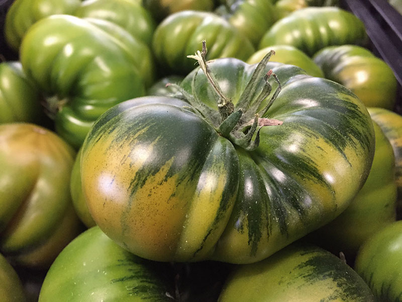 TOMATE RAF KG